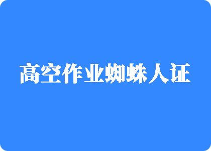 把美女操到嗷嗷叫高空作业蜘蛛人证